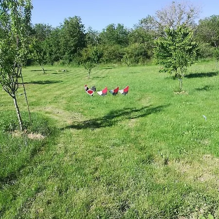 Independant Dans Ferme 18eme Гостевой дом